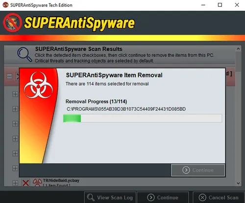 SUPERAntiSpyware software window showing item removal progress with a biohazard symbol and progress bar at 13 out of 114 items.