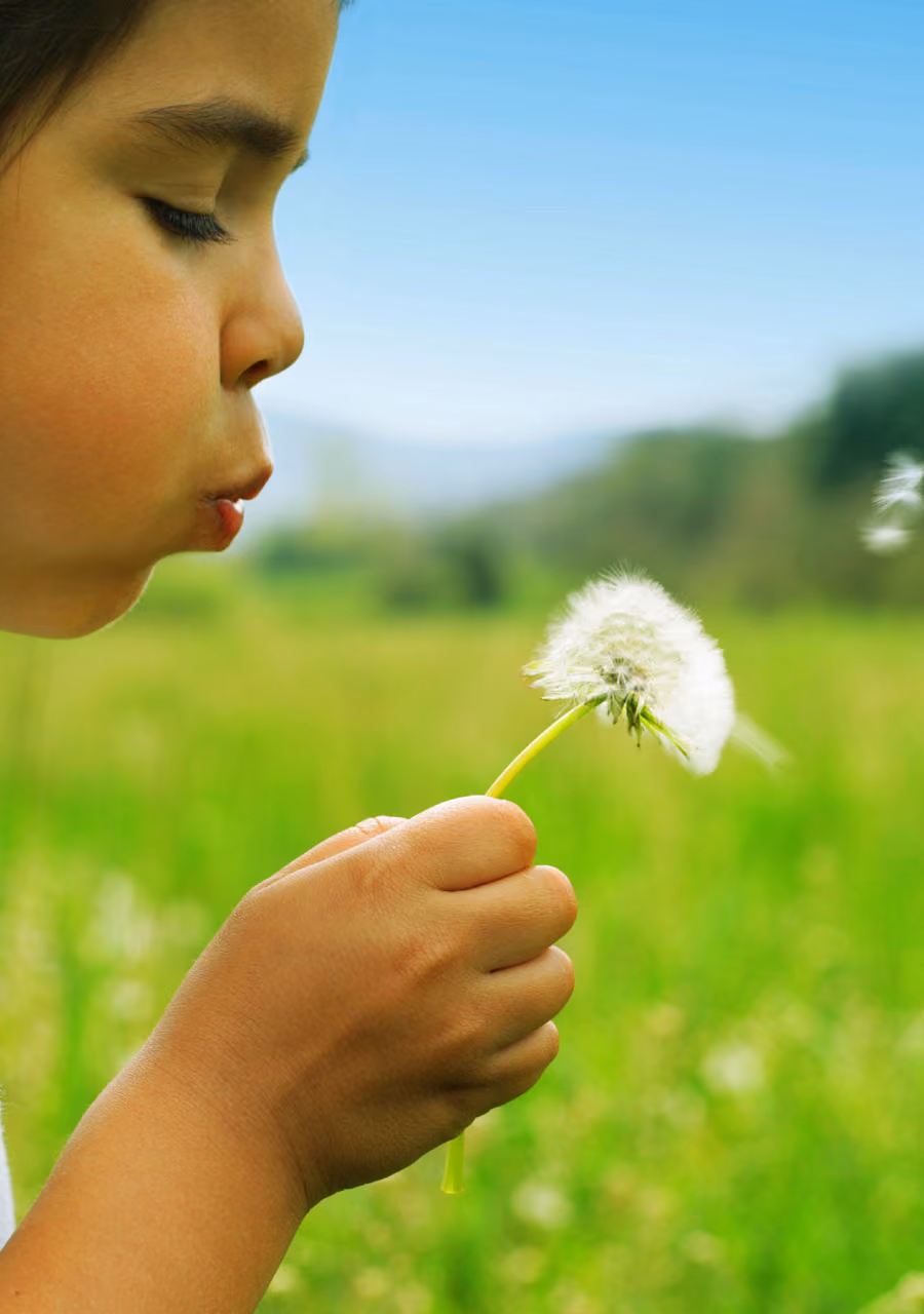 Child blowing a dandelion seed head in a green field under a clear blue sky.