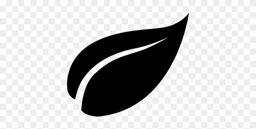 leaf image