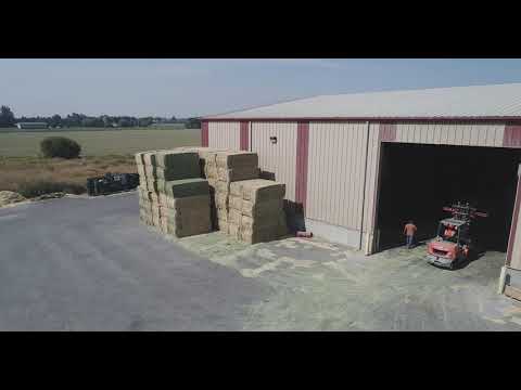 Stone Wings II video 2