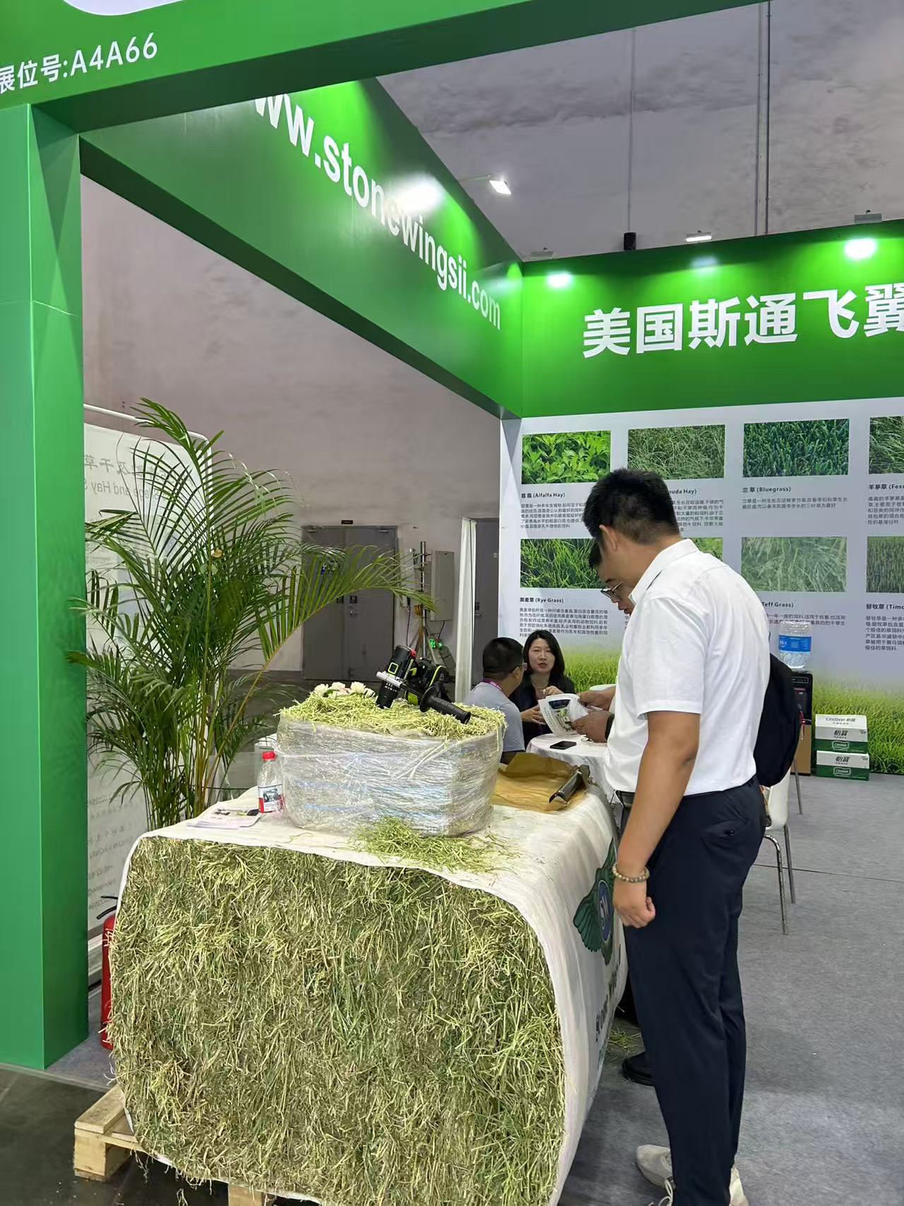 Trade show attendee inspecting a sample of Stone Wings II hay