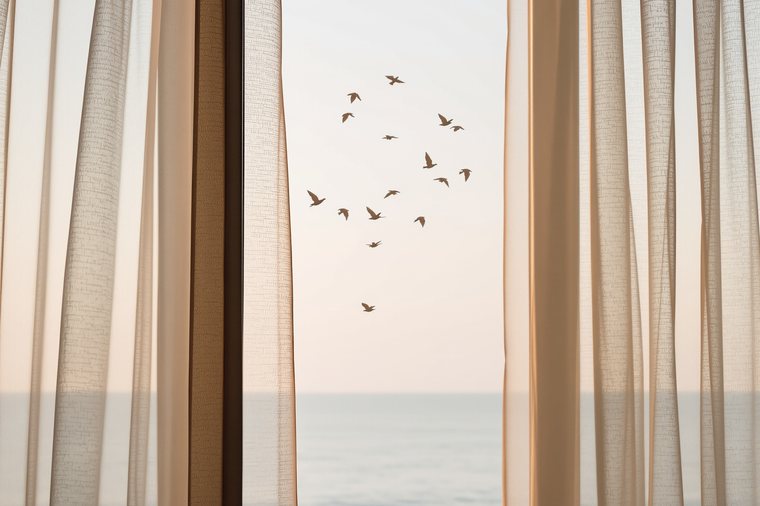 A calm, light-filled space