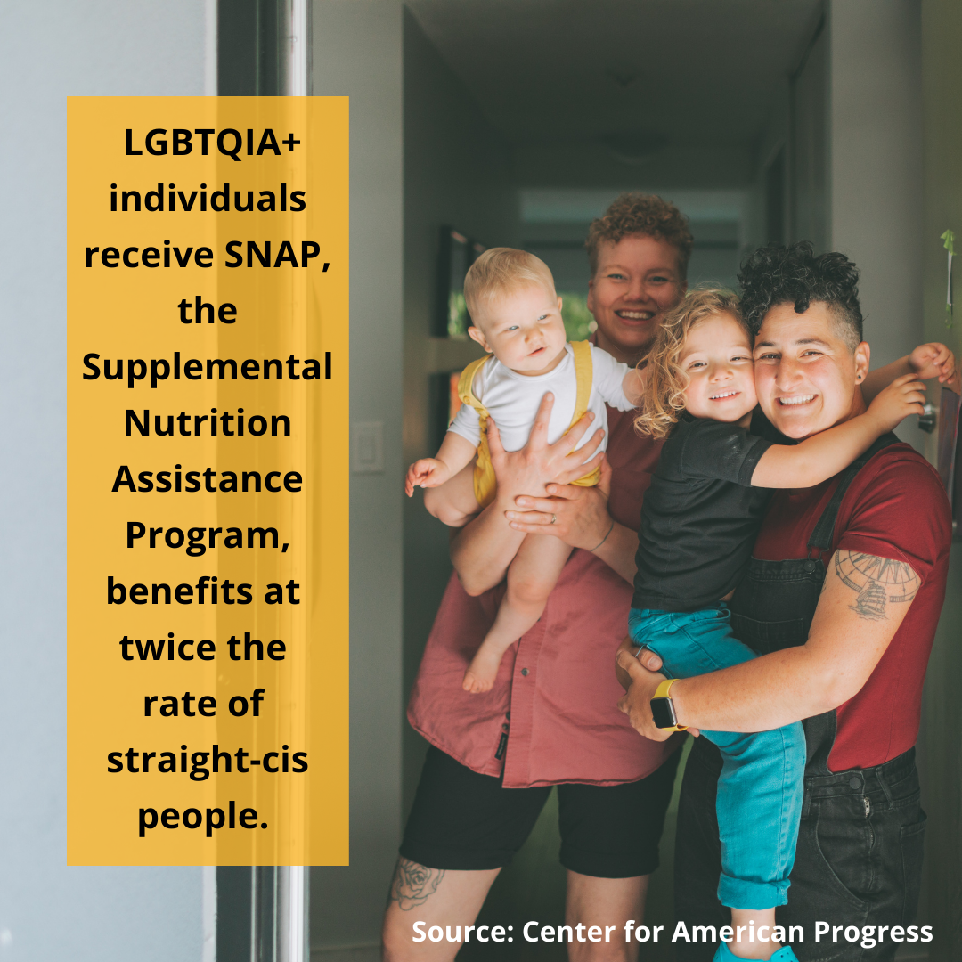 Graphic stating LGBTQIA+ people receive SNAP benefits at twice the rate of straight-cis people.