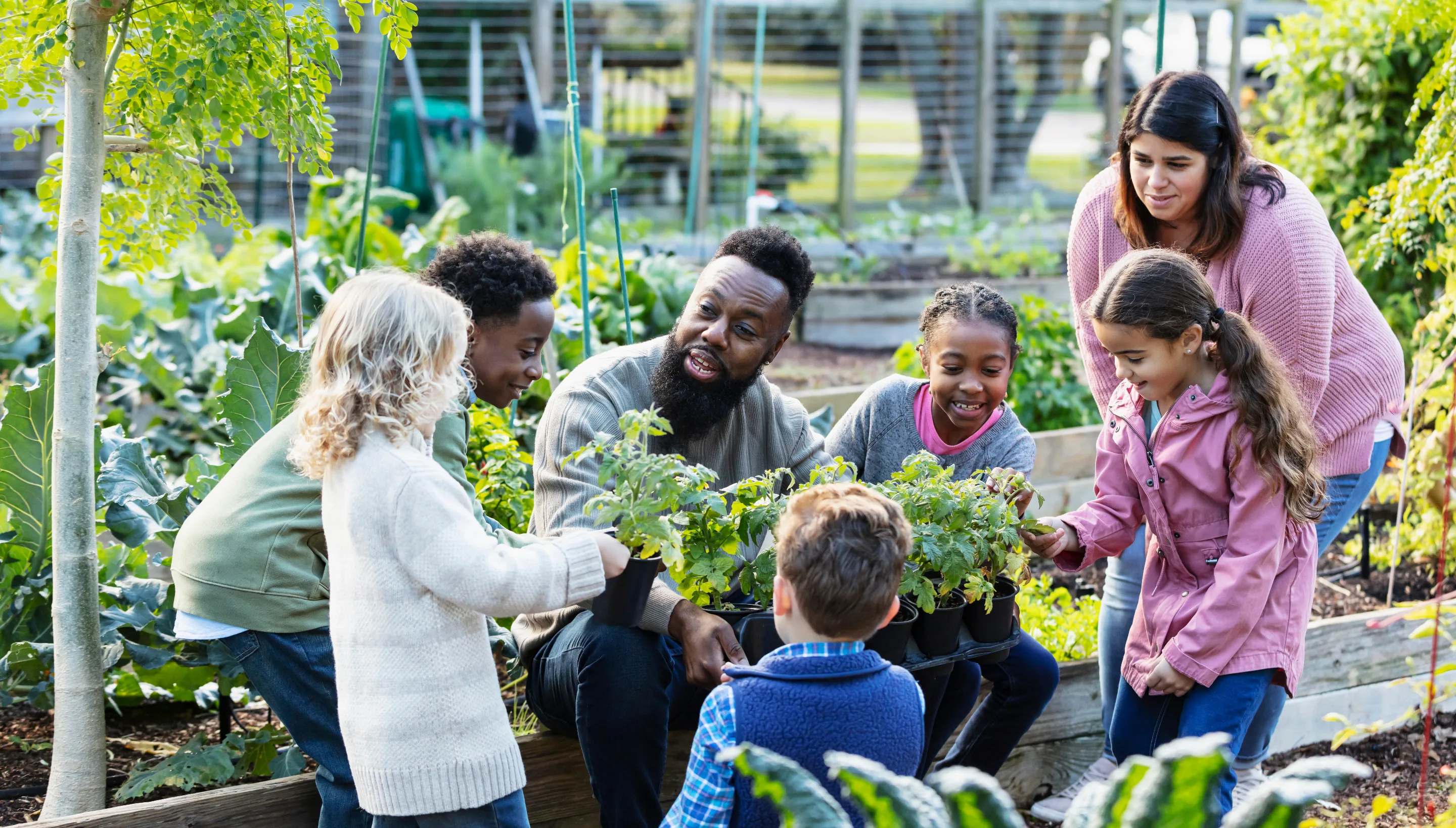 People tending a community garden.