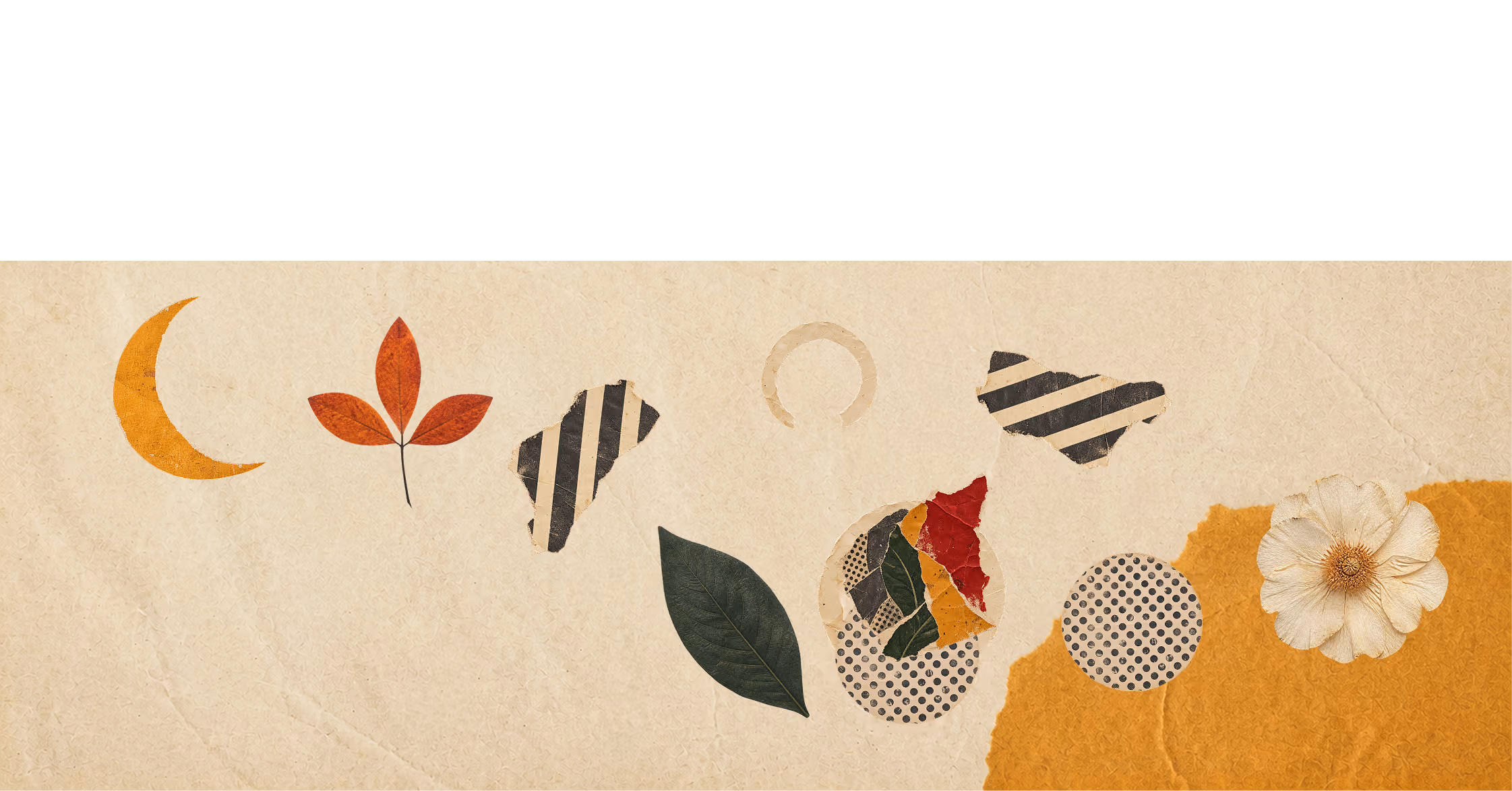 Upper torn collage piece