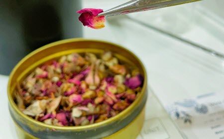 Tweezers lifting a dried rosebud from a tin of botanicals for candle decorating at Wick & Pour