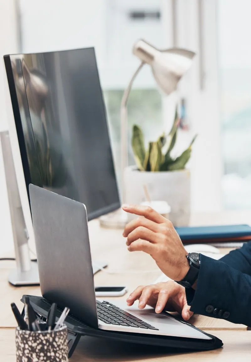 Person working on a laptop at a desk with a large monitor, potted plant, desk lamp, and pens in a holder nearby.