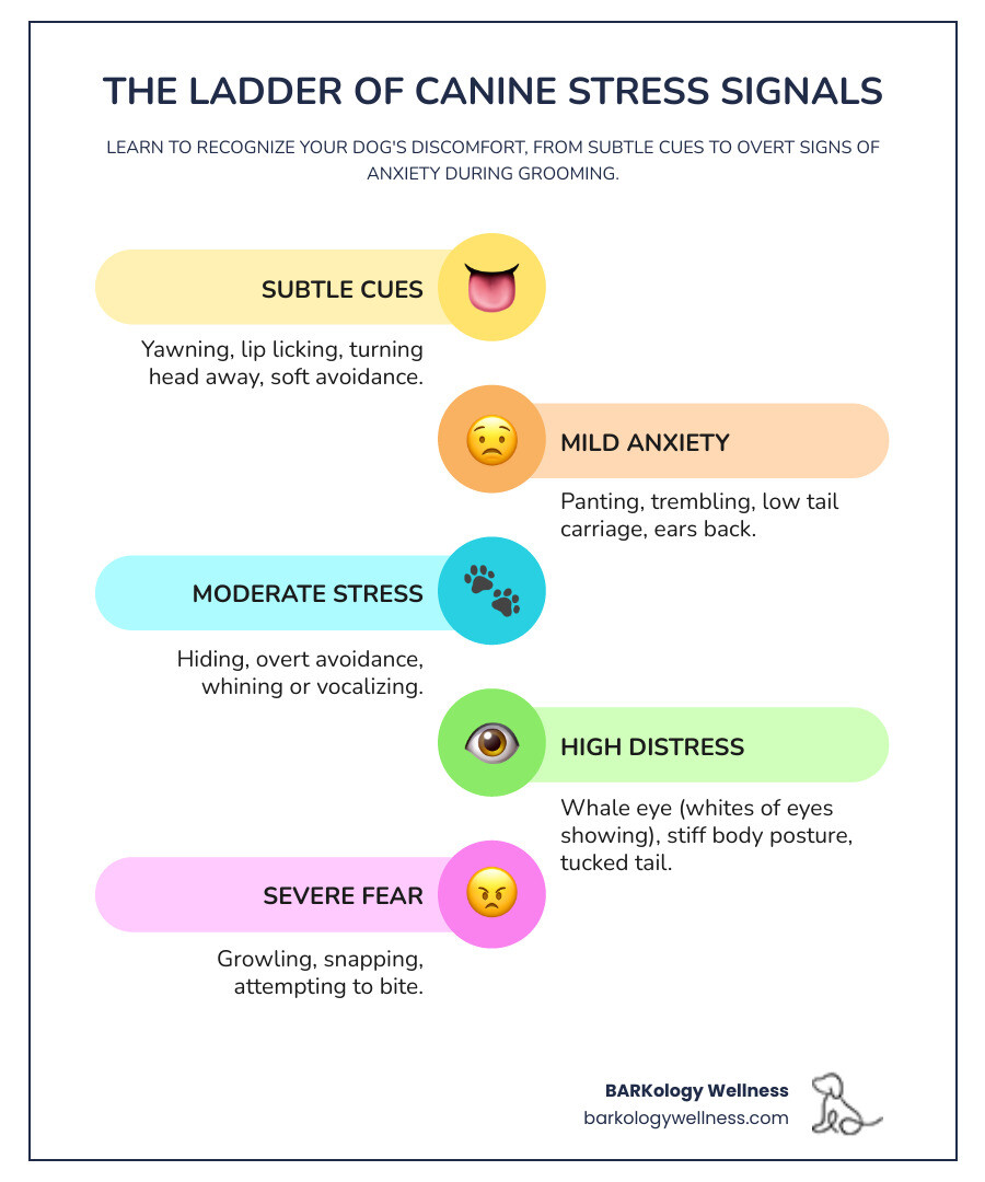 Infographic showing the ladder of canine stress signals, starting with subtle signs like yawning, lip licking, and turning head away at the bottom, progressing through panting, low tail carriage, and ears back in the middle, and escalating to whale eye, stiff body posture, growling, and snapping at the top, illustrating how stress builds from mild discomfort to severe anxiety - stress free dog grooming infographic infographic-line-5-steps-colors Infographic showing the ladder of canine stress signals, starting with subtle signs like yawning, lip licking, and turning head away at the bottom, progressing through panting, low tail carriage, and ears back in the middle, and escalating to whale eye, stiff body posture, growling, and snapping at the top, illustrating how stress builds from mild discomfort to severe anxiety - stress free dog grooming infographic infographic-line-5-steps-colors
