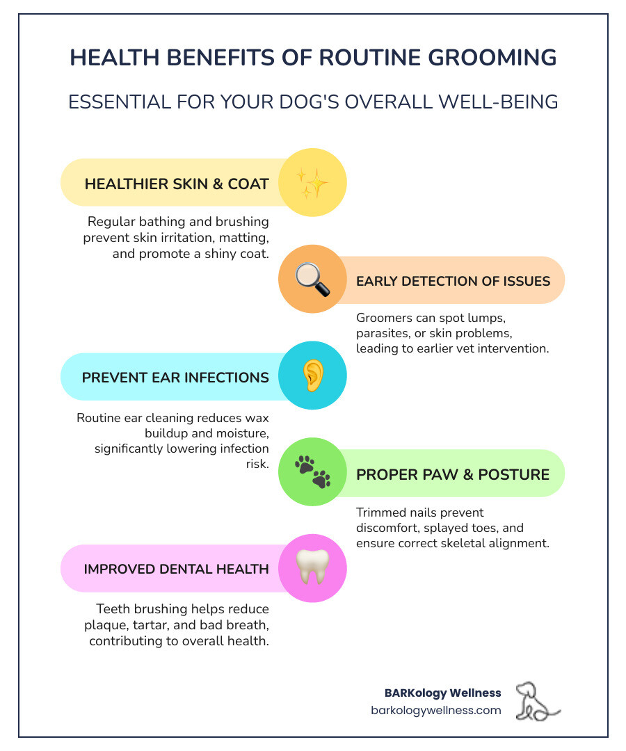 infographic showing the health benefits of routine grooming including healthier skin and coat, early detection of lumps and parasites, cleaner ears preventing infections, trimmed nails for proper posture, and dental care reducing bacteria - dog grooming memberships Tampa infographic infographic-line-5-steps-colors infographic showing the health benefits of routine grooming including healthier skin and coat, early detection of lumps and parasites, cleaner ears preventing infections, trimmed nails for proper posture, and dental care reducing bacteria - dog grooming memberships Tampa infographic infographic-line-5-steps-colors