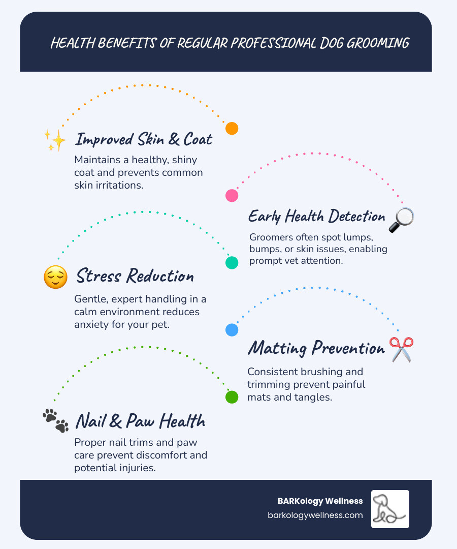 Infographic showing the health benefits of regular professional dog grooming including improved skin and coat health, early detection of health issues, stress reduction through expert handling, prevention of matting and tangles, nail and paw health maintenance, and ear cleaning to prevent infections - luxury dog spa South Tampa infographic infographic-line-5-steps-blues-accent_colors Infographic showing the health benefits of regular professional dog grooming including improved skin and coat health, early detection of health issues, stress reduction through expert handling, prevention of matting and tangles, nail and paw health maintenance, and ear cleaning to prevent infections - luxury dog spa South Tampa infographic infographic-line-5-steps-blues-accent_colors
