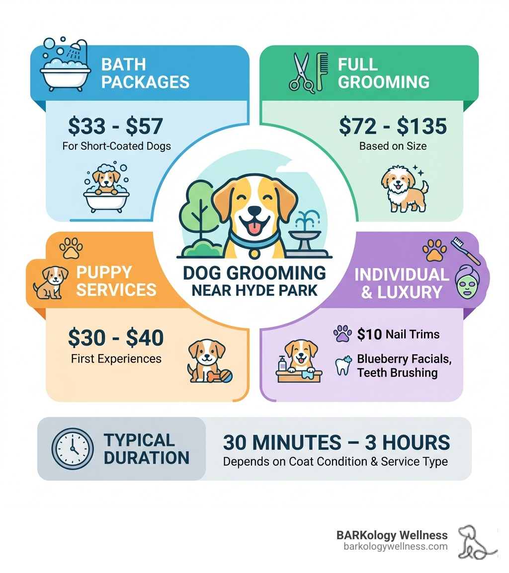 Infographic showing the complete range of dog grooming services available near Hyde Park, including bath packages ranging from $33-$57 for short-coated dogs, full grooming packages from $72-$135 based on size, specialized puppy services for $30-$40, individual services like $10 nail trims, and luxury spa add-ons such as blueberry facials and teeth brushing, with typical appointment durations of 30 minutes to 3 hours depending on coat condition and service type - dog grooming near Hyde Park infographic 