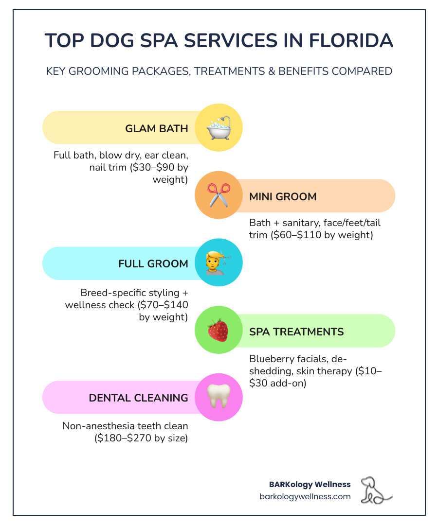 infographic comparing dog spa services in Florida including grooming packages, wellness treatments, pricing tiers by dog weight, recommended frequency of visits, and key features like fear-free certification, cage-free environments, and specialized treatments such as blueberry facials and non-anesthesia dental cleaning - dog spa Florida infographic infographic-line-5-steps-colors infographic comparing dog spa services in Florida including grooming packages, wellness treatments, pricing tiers by dog weight, recommended frequency of visits, and key features like fear-free certification, cage-free environments, and specialized treatments such as blueberry facials and non-anesthesia dental cleaning - dog spa Florida infographic infographic-line-5-steps-colors
