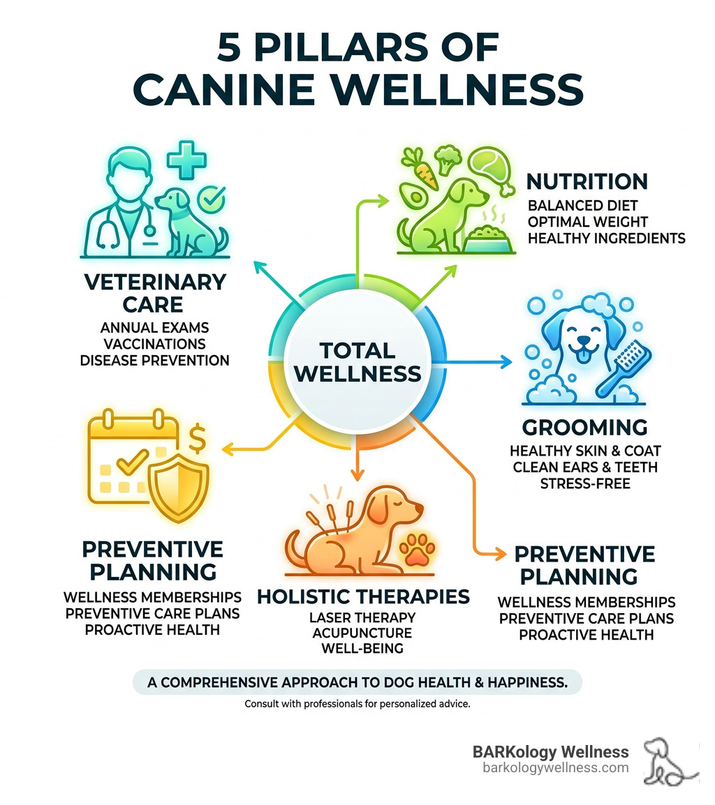 5 pillars of canine wellness: veterinary care, nutrition, grooming, holistic therapies, preventive planning - dog wellness 5 pillars of canine wellness: veterinary care, nutrition, grooming, holistic therapies, preventive planning - dog wellness