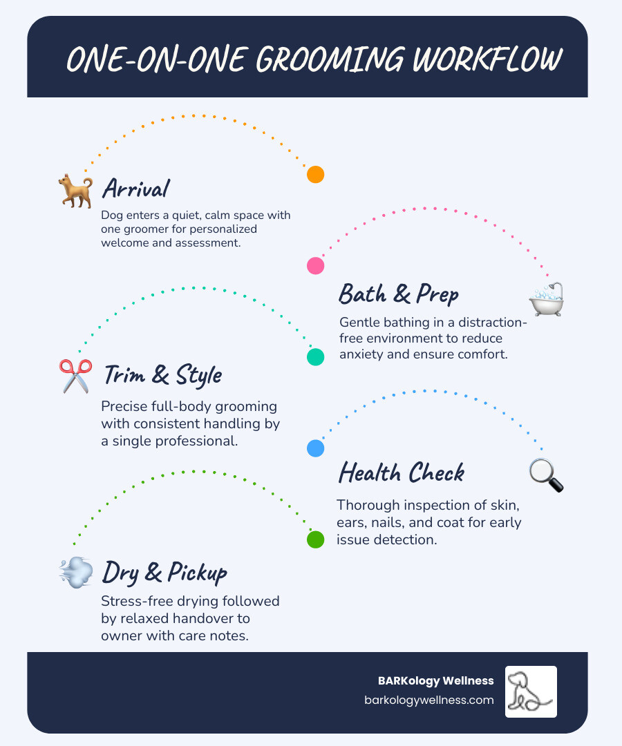 one-on-one grooming workflow infographic showing steps from arrival to pickup with stress reduction benefits - One-on-one