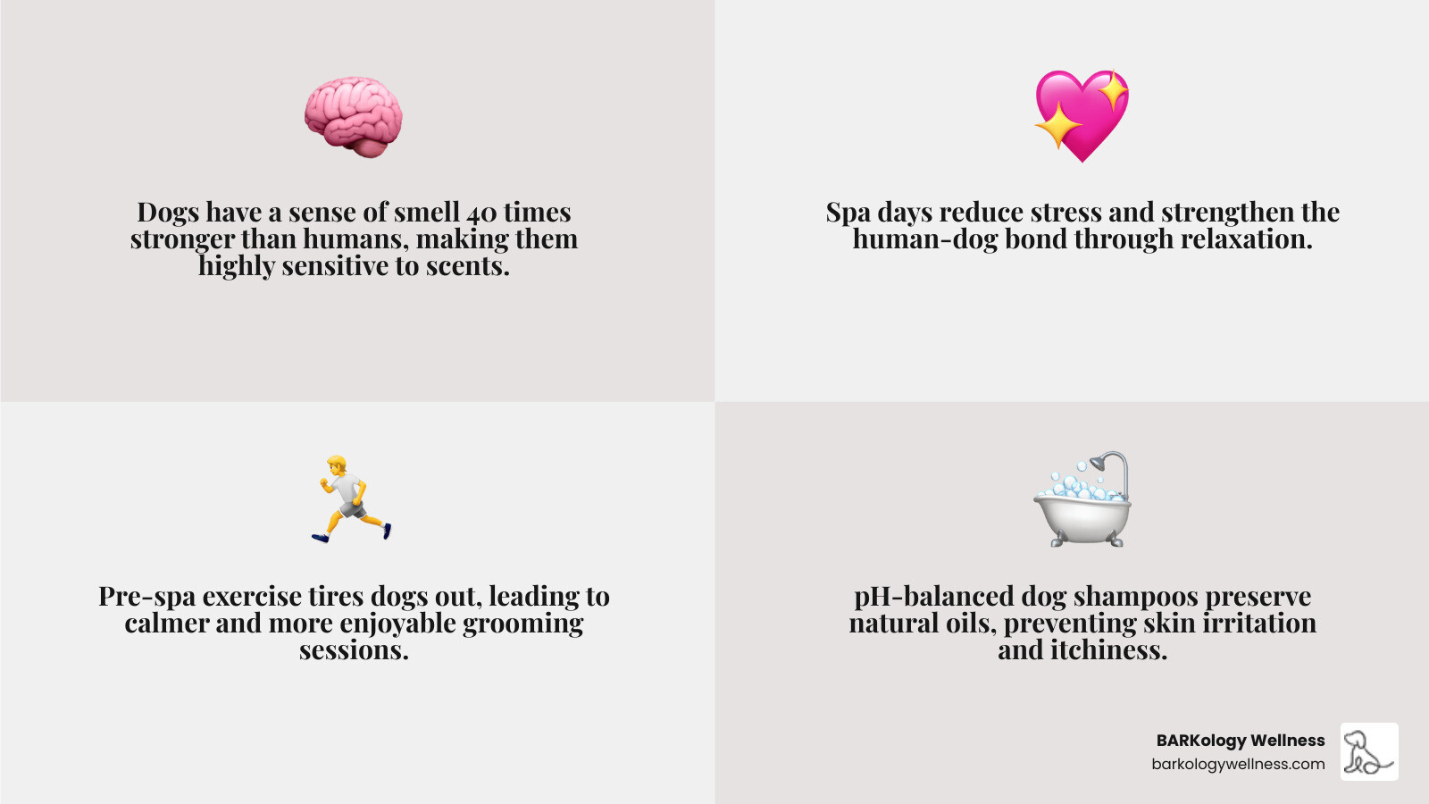 Table comparing essential home spa tools vs. professional equipment - spa day for dogs infographic 4_facts_emoji_grey Table comparing essential home spa tools vs. professional equipment - spa day for dogs infographic 4_facts_emoji_grey