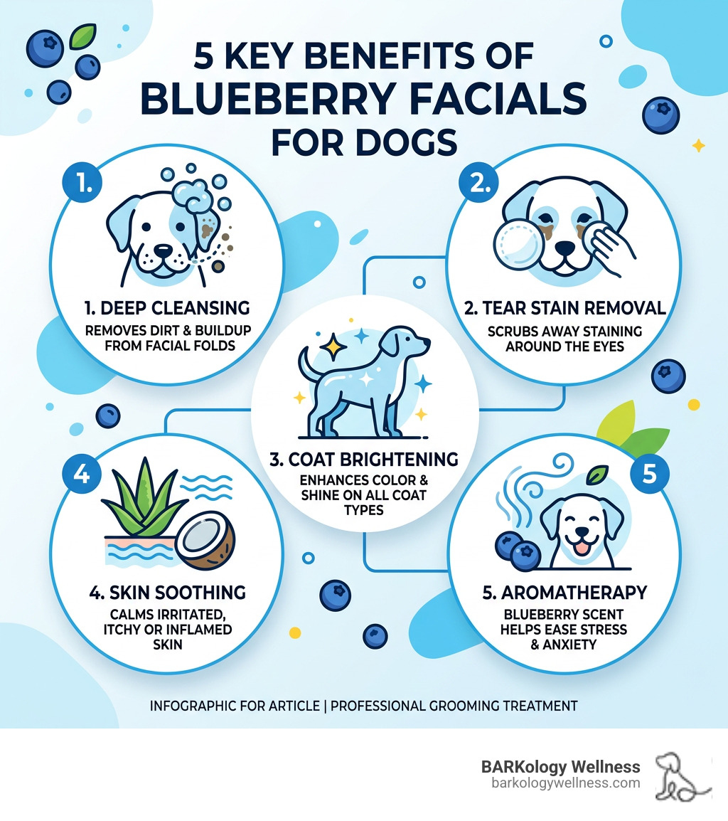 Infographic showing 5 key benefits of blueberry facials for dogs: cleansing, tear stain removal, brightening, soothing, and