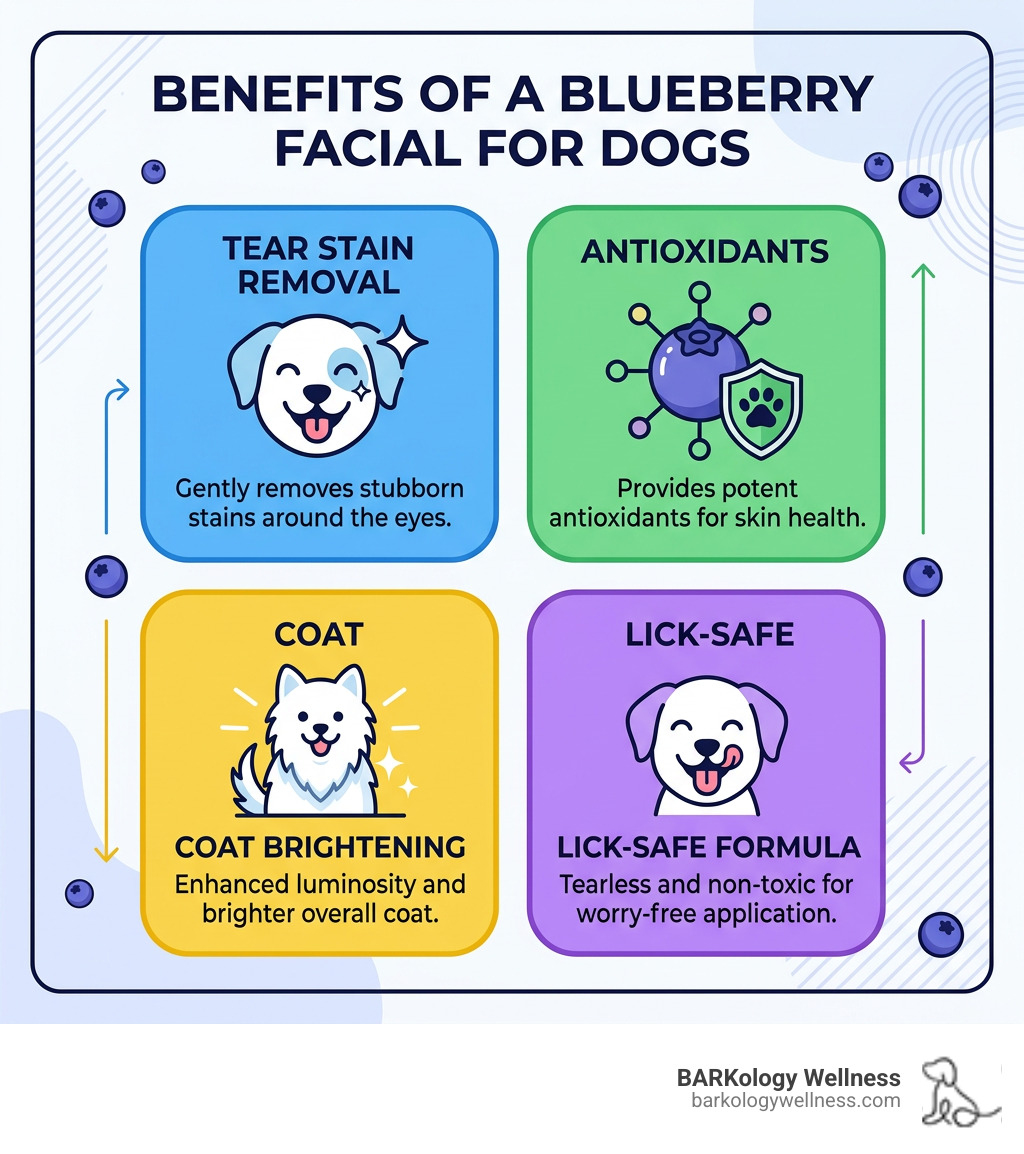 Benefits of blueberry facial for dogs infographic: tear stain removal, antioxidants, brightening, lick-safe - blueberry Benefits of blueberry facial for dogs infographic: tear stain removal, antioxidants, brightening, lick-safe - blueberry