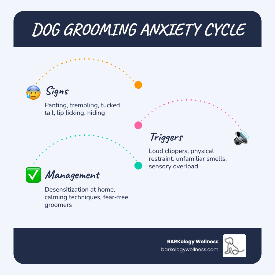 Infographic showing the cycle of dog grooming anxiety, signs, triggers, and management steps - dog grooming anxiety Infographic showing the cycle of dog grooming anxiety, signs, triggers, and management steps - dog grooming anxiety