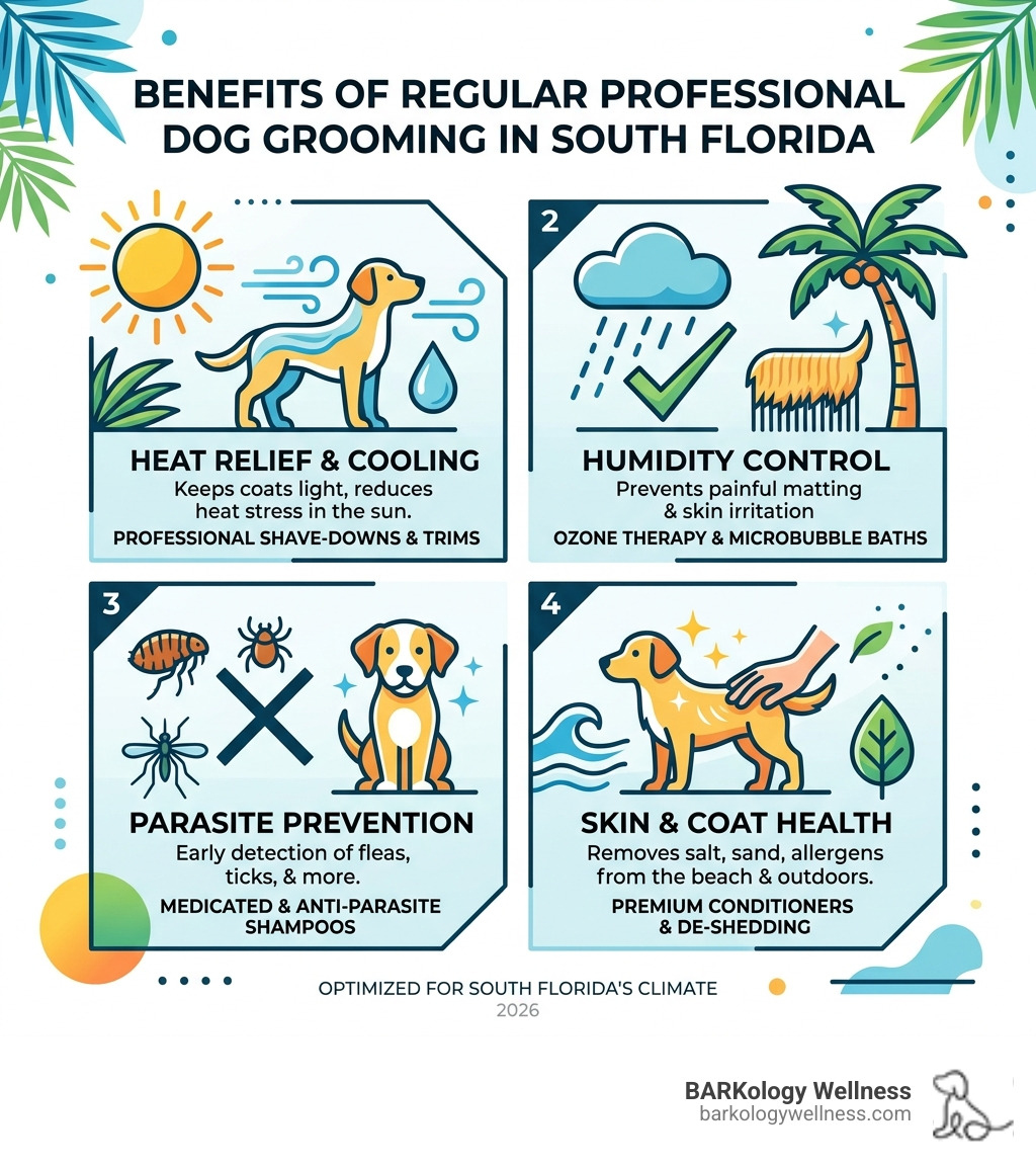 Infographic showing benefits of regular professional dog grooming in South Florida's climate - dog grooming South Florida Infographic showing benefits of regular professional dog grooming in South Florida's climate - dog grooming South Florida