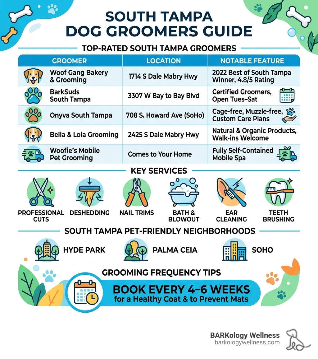 Infographic showing top South Tampa dog groomers, key services, locations, and grooming frequency tips - dog groomer South Infographic showing top South Tampa dog groomers, key services, locations, and grooming frequency tips - dog groomer South