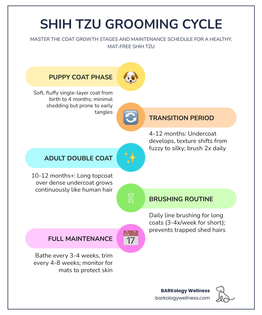 Shih Tzu grooming cycle infographic showing coat growth stages, brushing frequency, bathing schedule, and trim intervals
