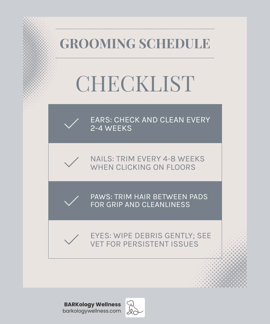 infographic border terrier grooming schedule and body areas infographic