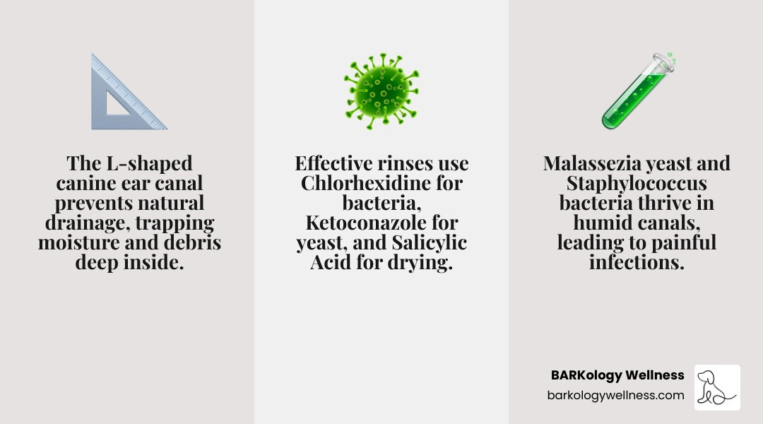 Table comparing antimicrobial efficacy of common active ingredients like Chlorhexidine, Salicylic Acid, and Ketoconazole Table comparing antimicrobial efficacy of common active ingredients like Chlorhexidine, Salicylic Acid, and Ketoconazole