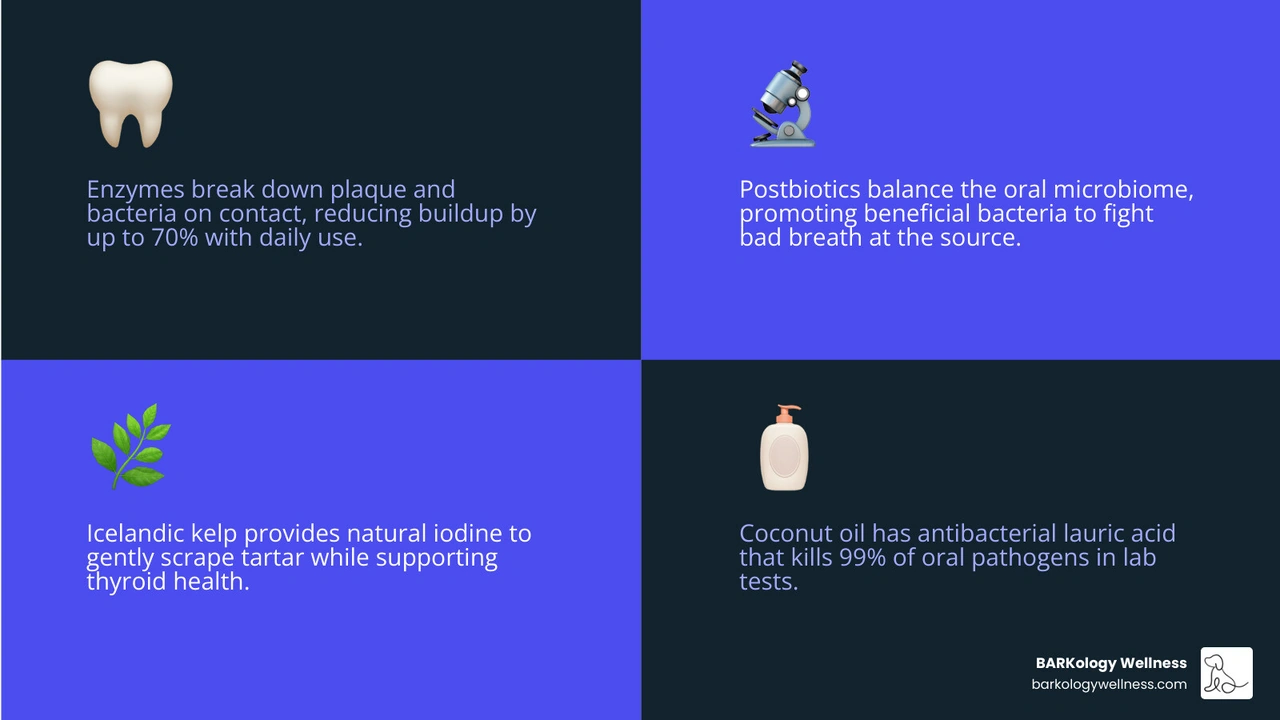 infographic of dog dental ingredients and benefits infographic