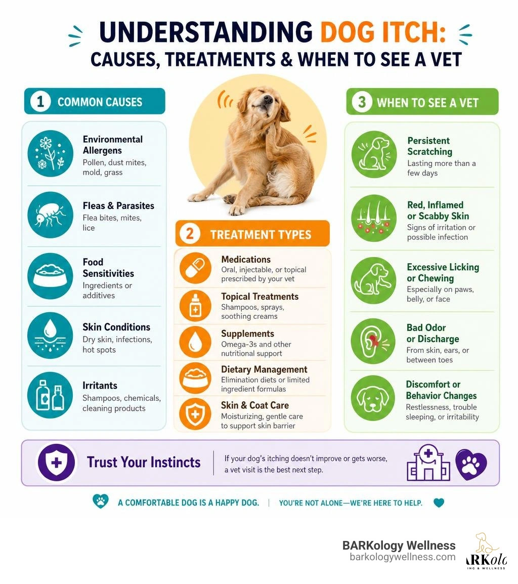 Overview infographic showing dog itch causes, treatment types, and when to see a vet infographic Overview infographic showing dog itch causes, treatment types, and when to see a vet infographic