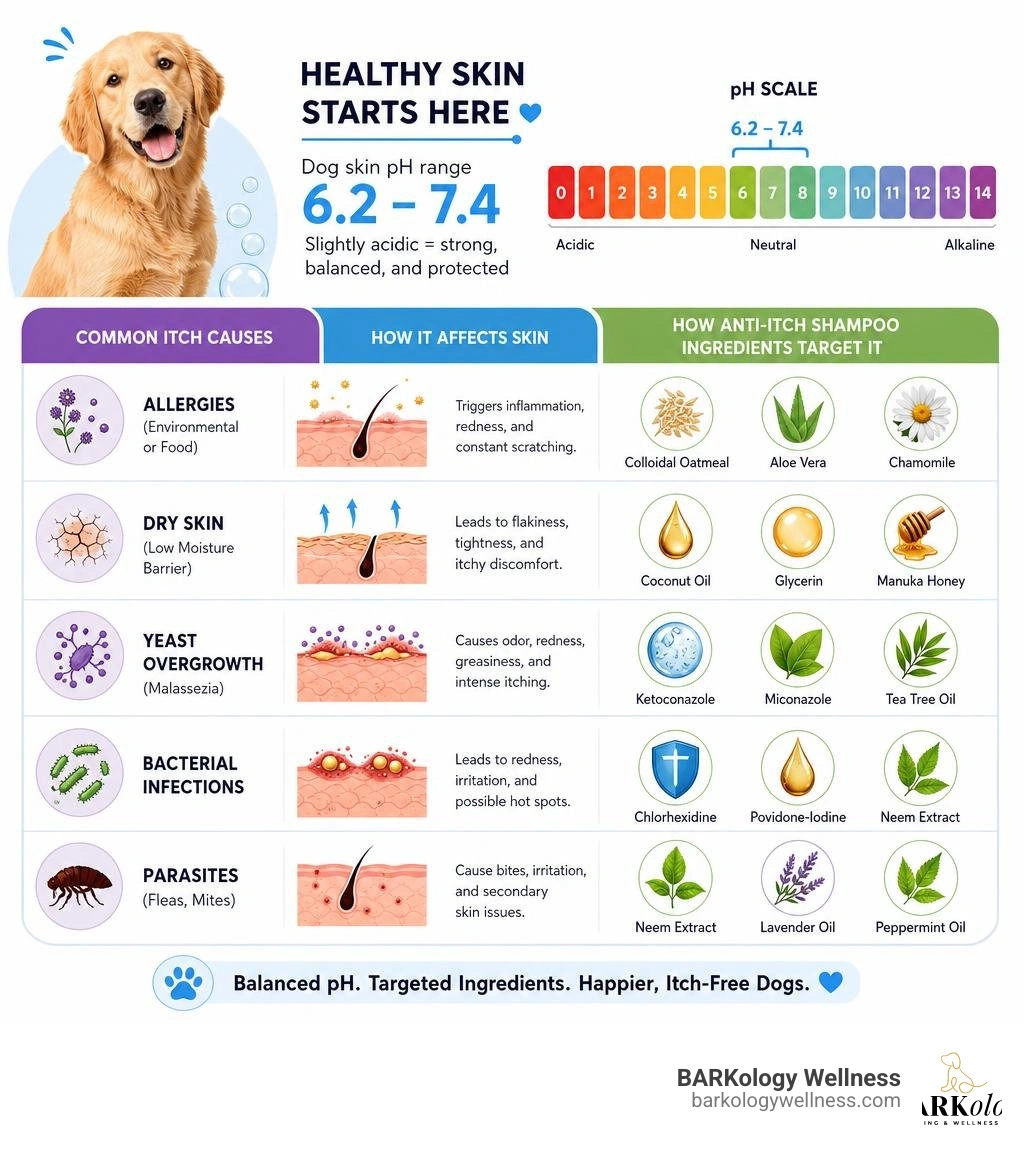 Infographic showing dog skin pH range of 6.2–7.4, common itch causes, and how anti-itch shampoo ingredients target each Infographic showing dog skin pH range of 6.2–7.4, common itch causes, and how anti-itch shampoo ingredients target each