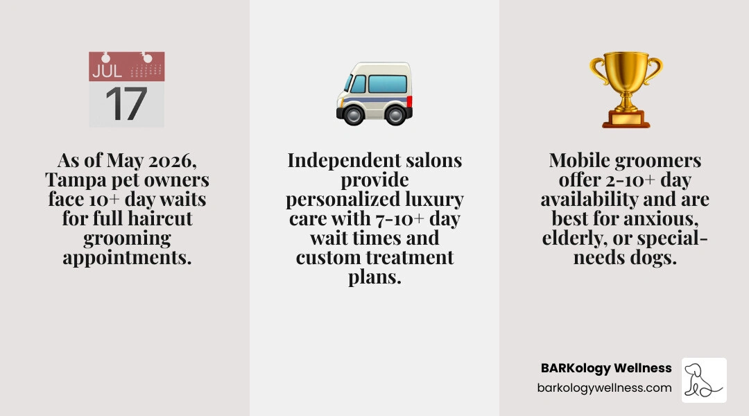 Top dog groomers in Tampa compared by type, wait time, and service level infographic