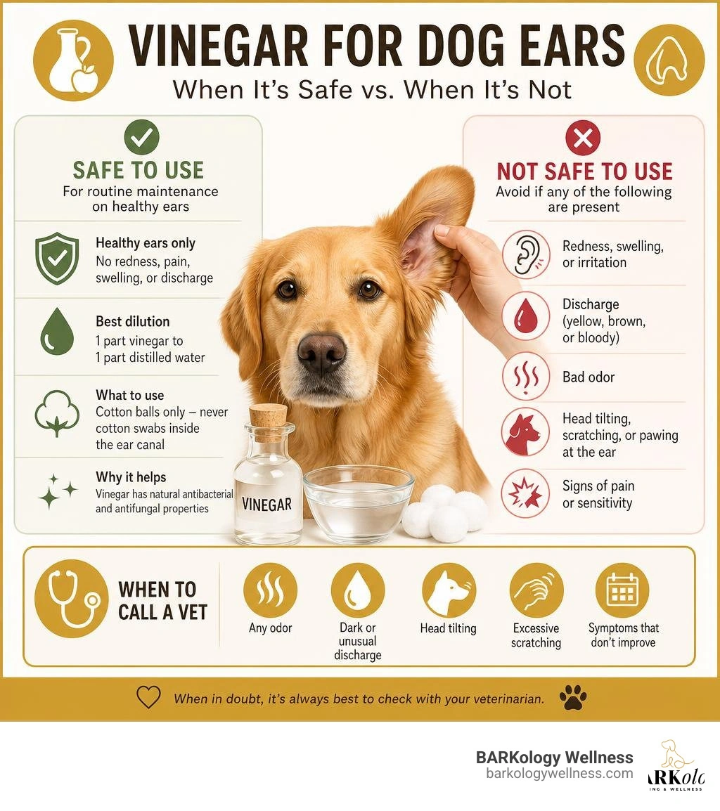 Infographic showing when vinegar is safe vs unsafe for dog ear cleaning with key warning signs infographic