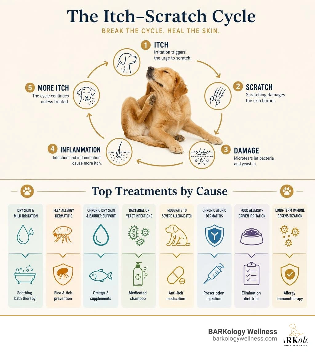 Quick-reference infographic showing the canine itch-scratch cycle and top treatments by cause infographic Quick-reference infographic showing the canine itch-scratch cycle and top treatments by cause infographic