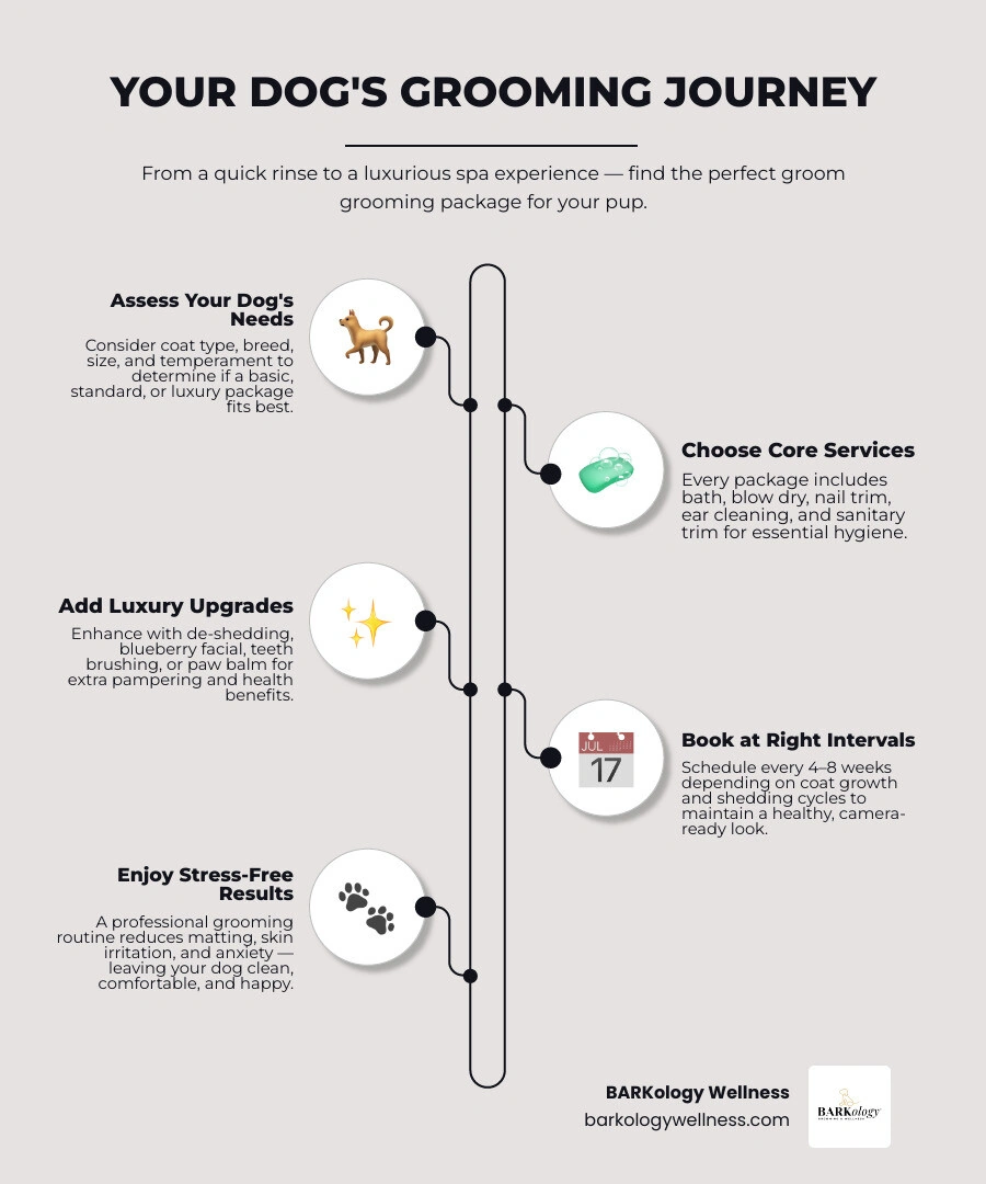 infographic showing dog grooming package tiers, services included, and benefits at each level infographic
