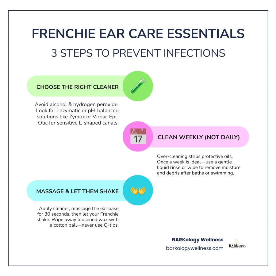 French Bulldog ear anatomy, common ear problems, and top ear cleaner formats comparison infographic French Bulldog ear anatomy, common ear problems, and top ear cleaner formats comparison infographic