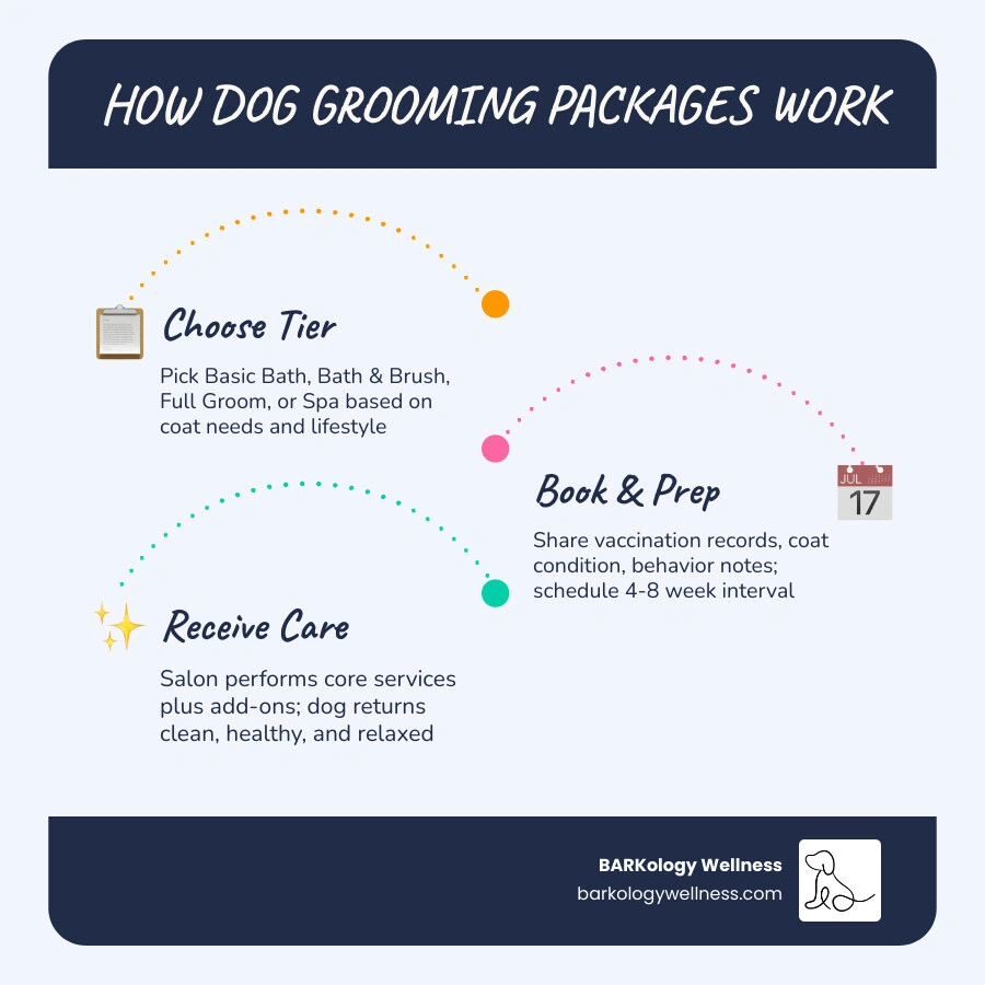 infographic showing dog grooming package tiers from basic bath to full spa with included services and pricing range