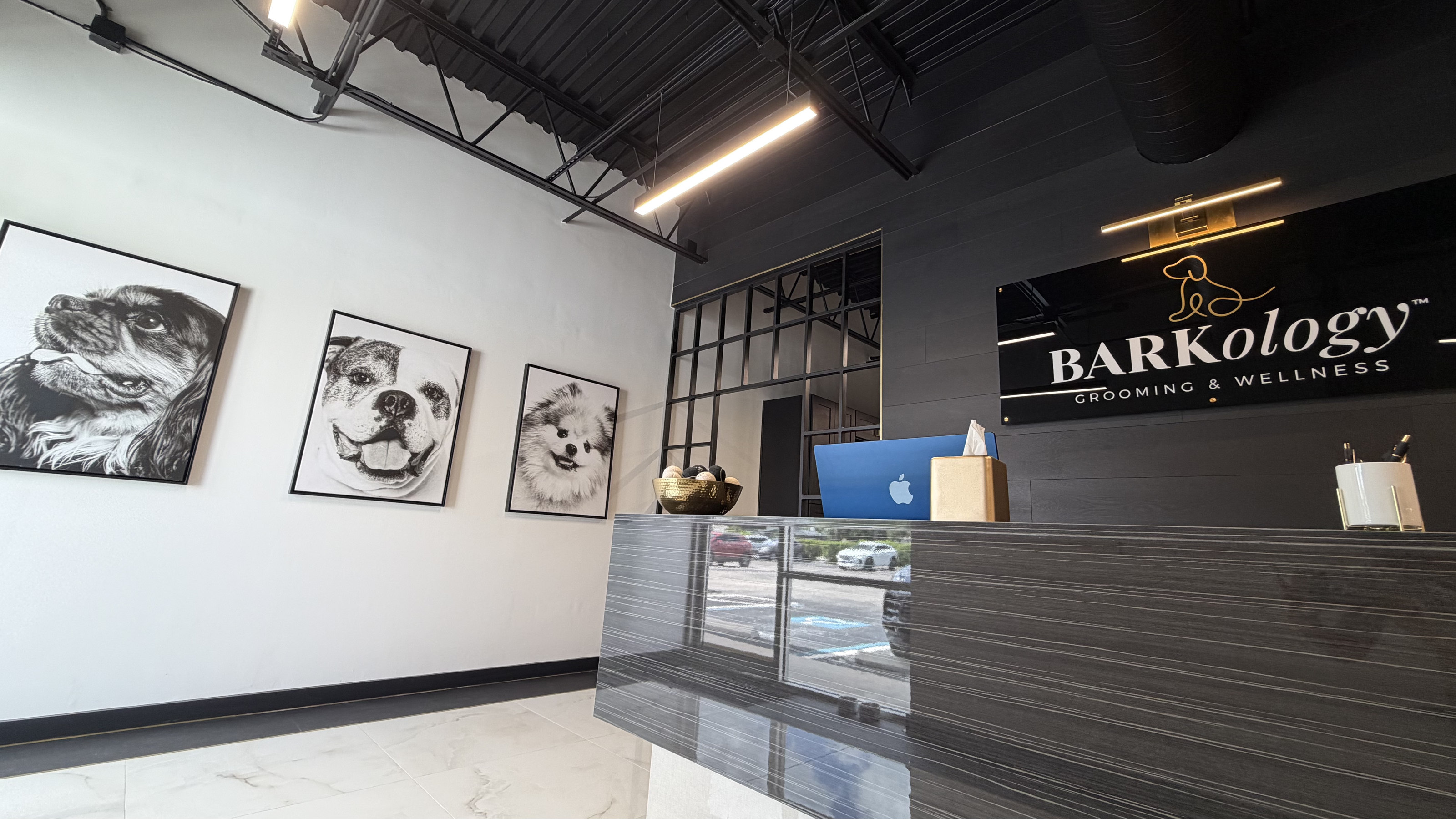 Wide view of BARKology South Tampa reception