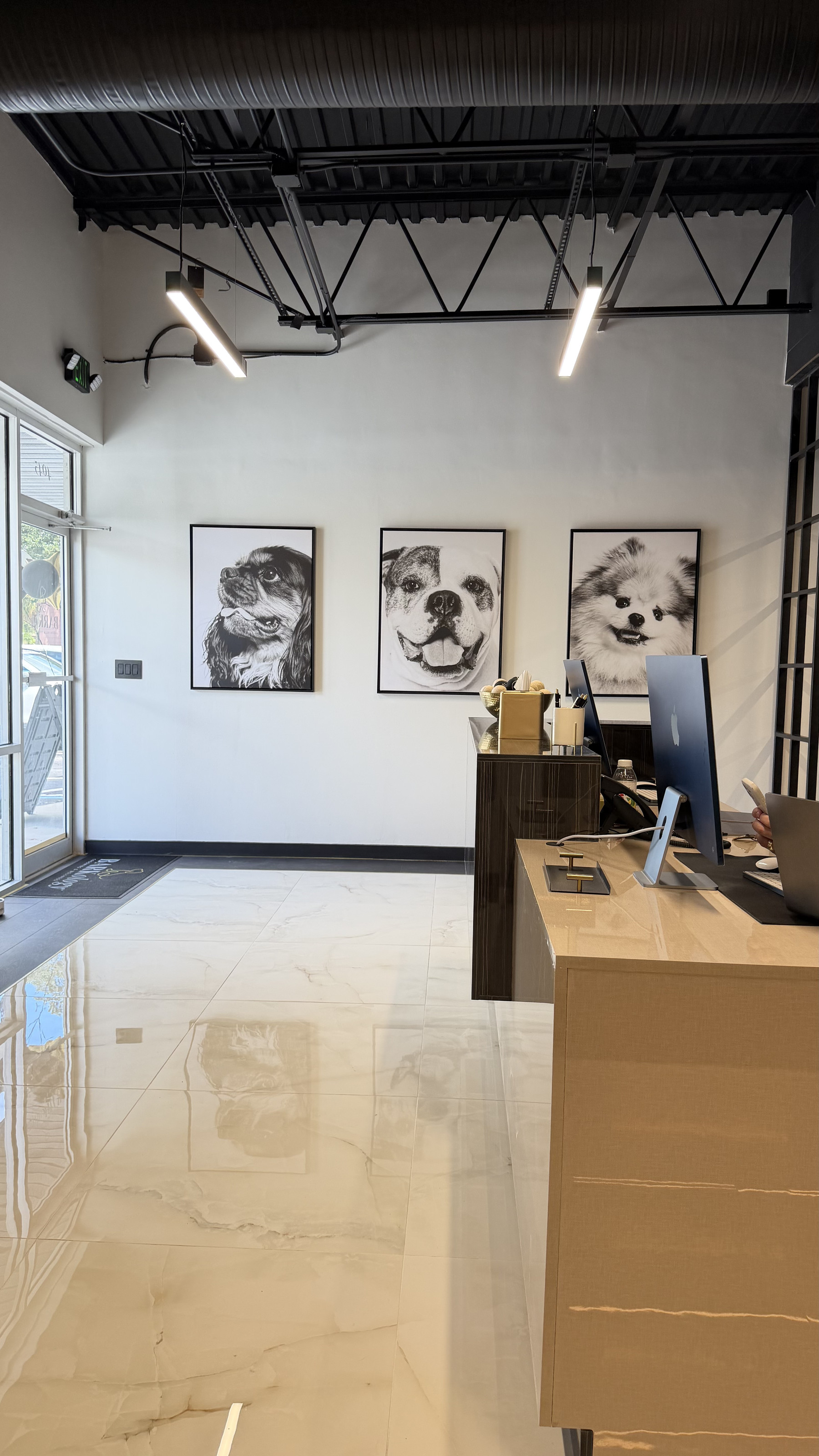 Front reception desk and dog portraits at BARKology South Tampa