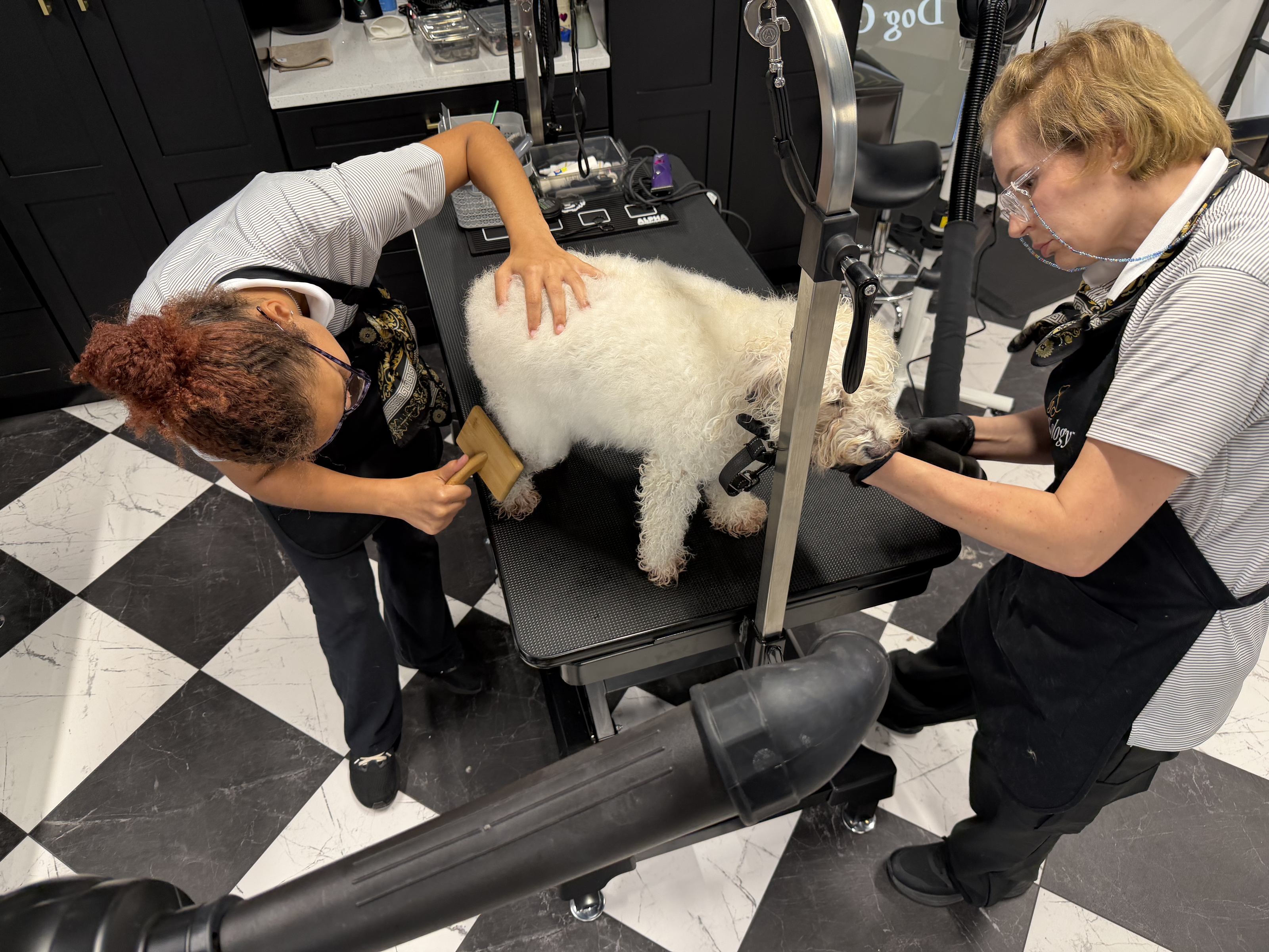 The real grooming team at work