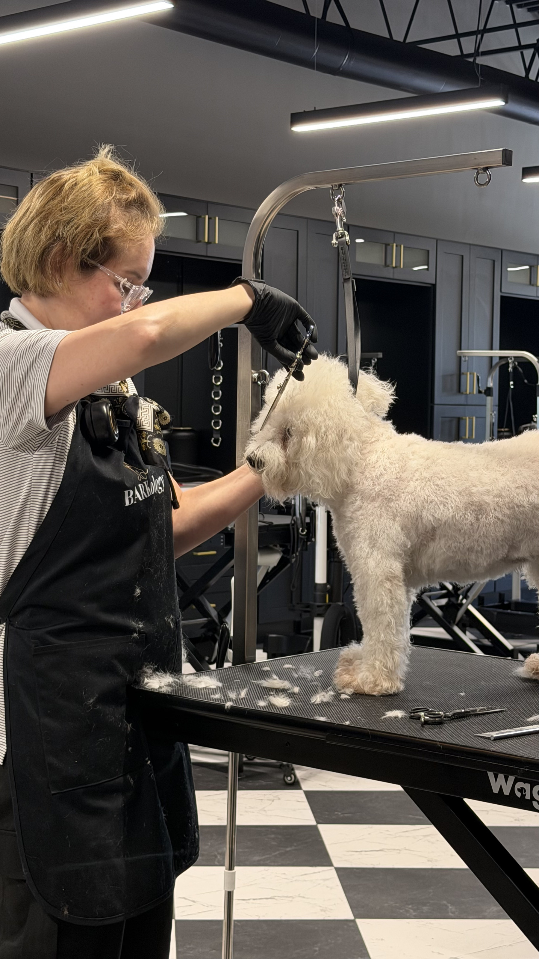 Groomer caring for a dog at BARKology South Tampa