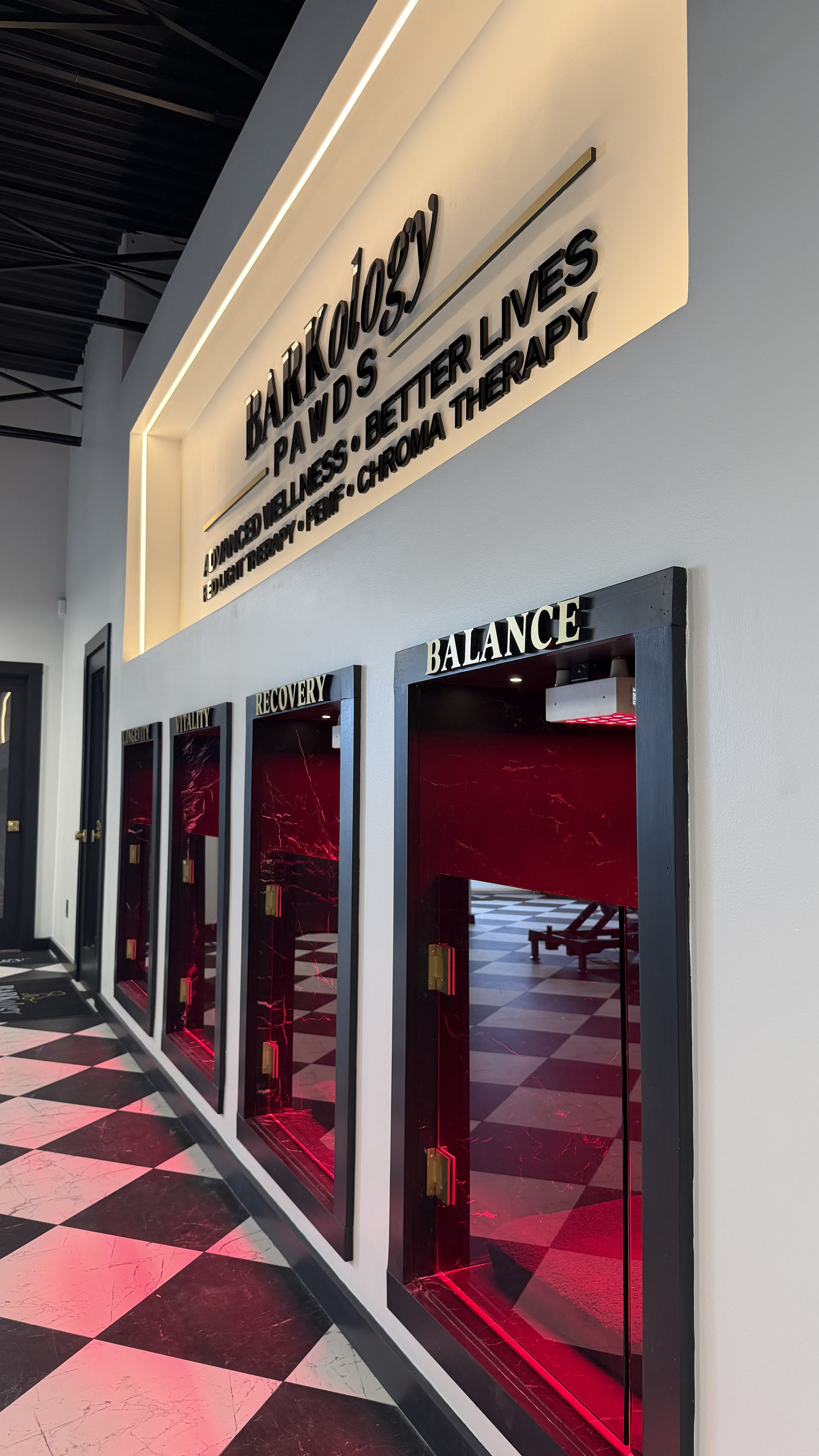 Inside a PAWDS wellness pod