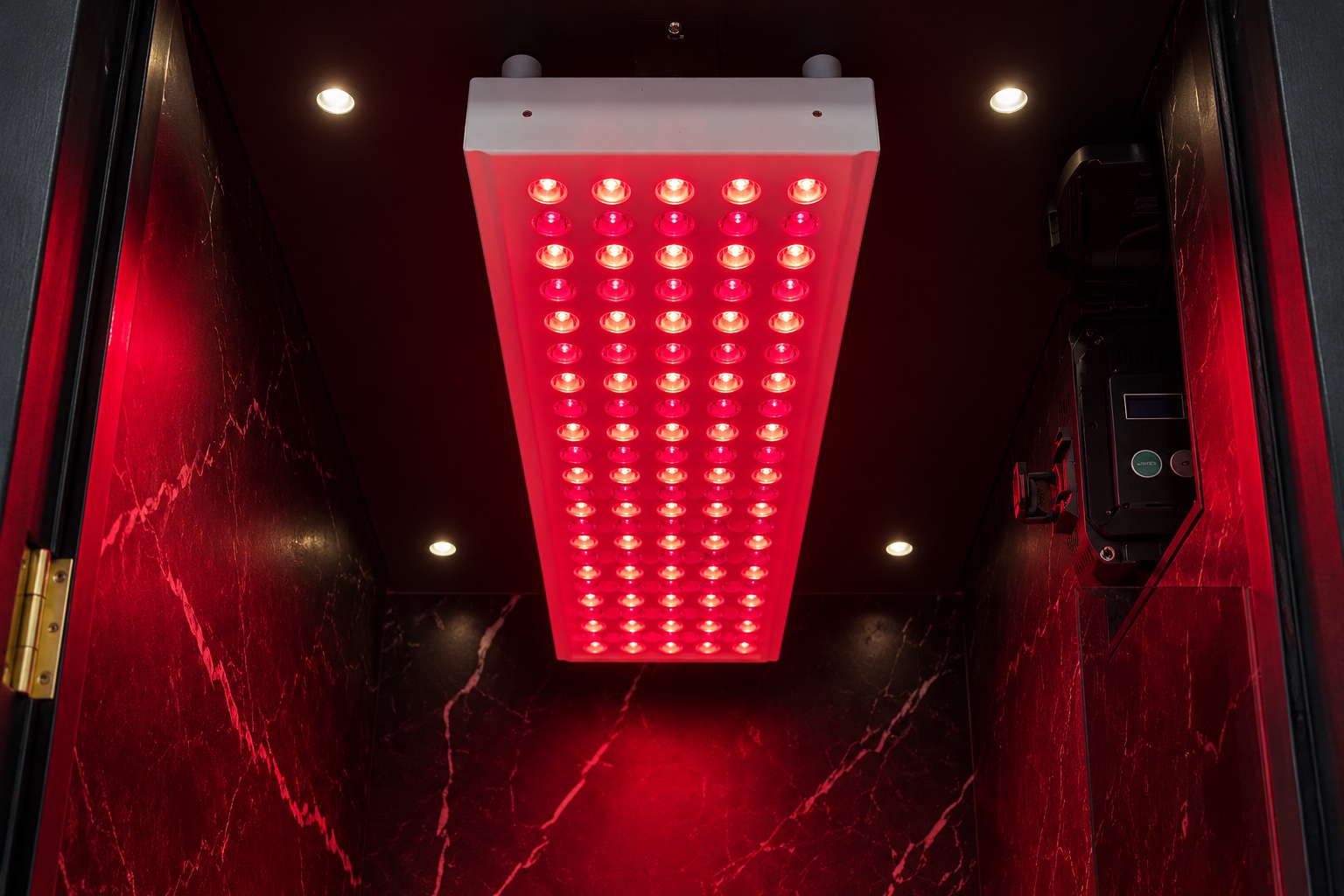 Red light therapy panel inside a BARKology PAWDS pod