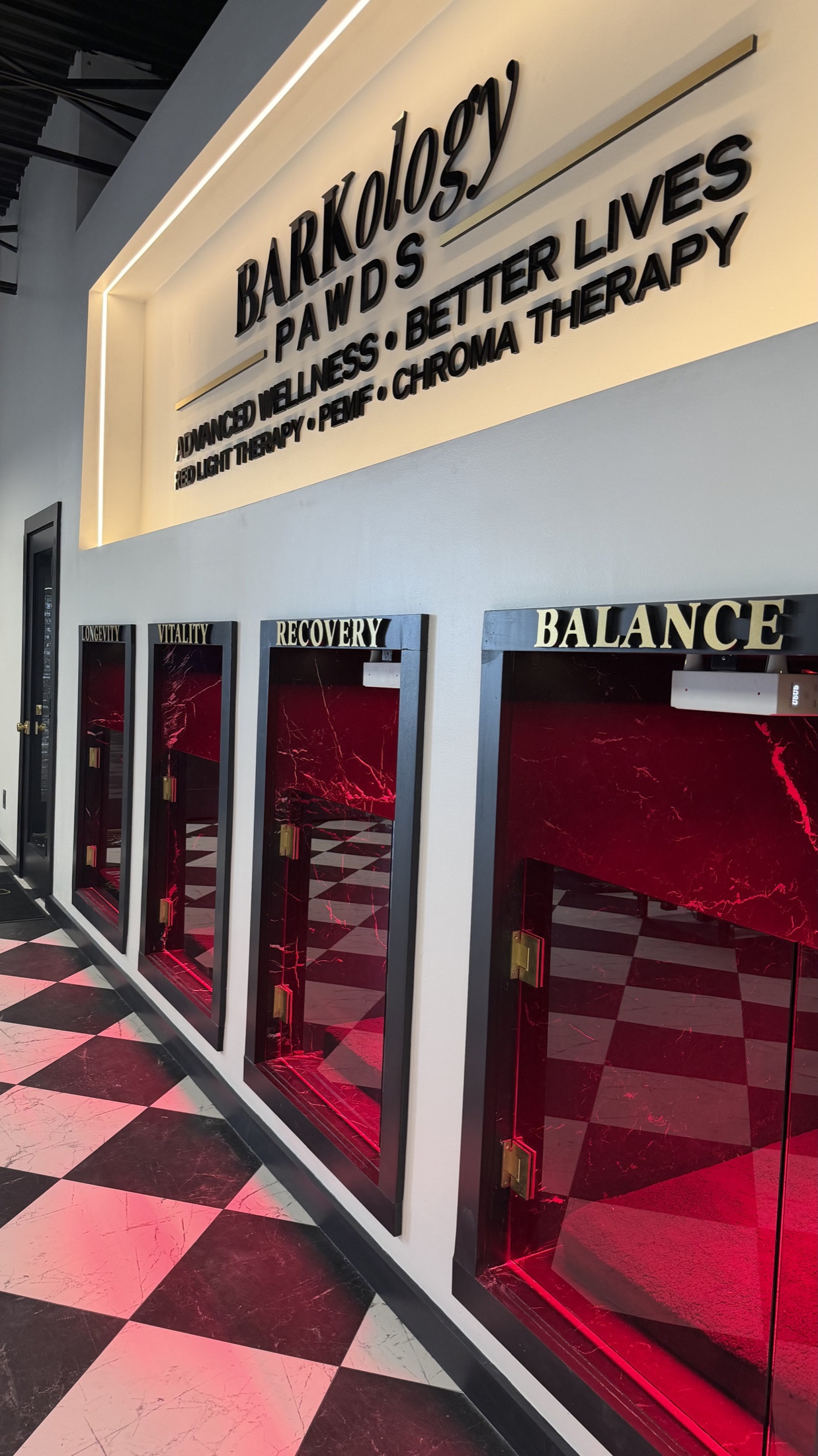 Wide view of BARKology's Longevity, Vitality, Recovery and Balance PAWDS at the South Tampa location.