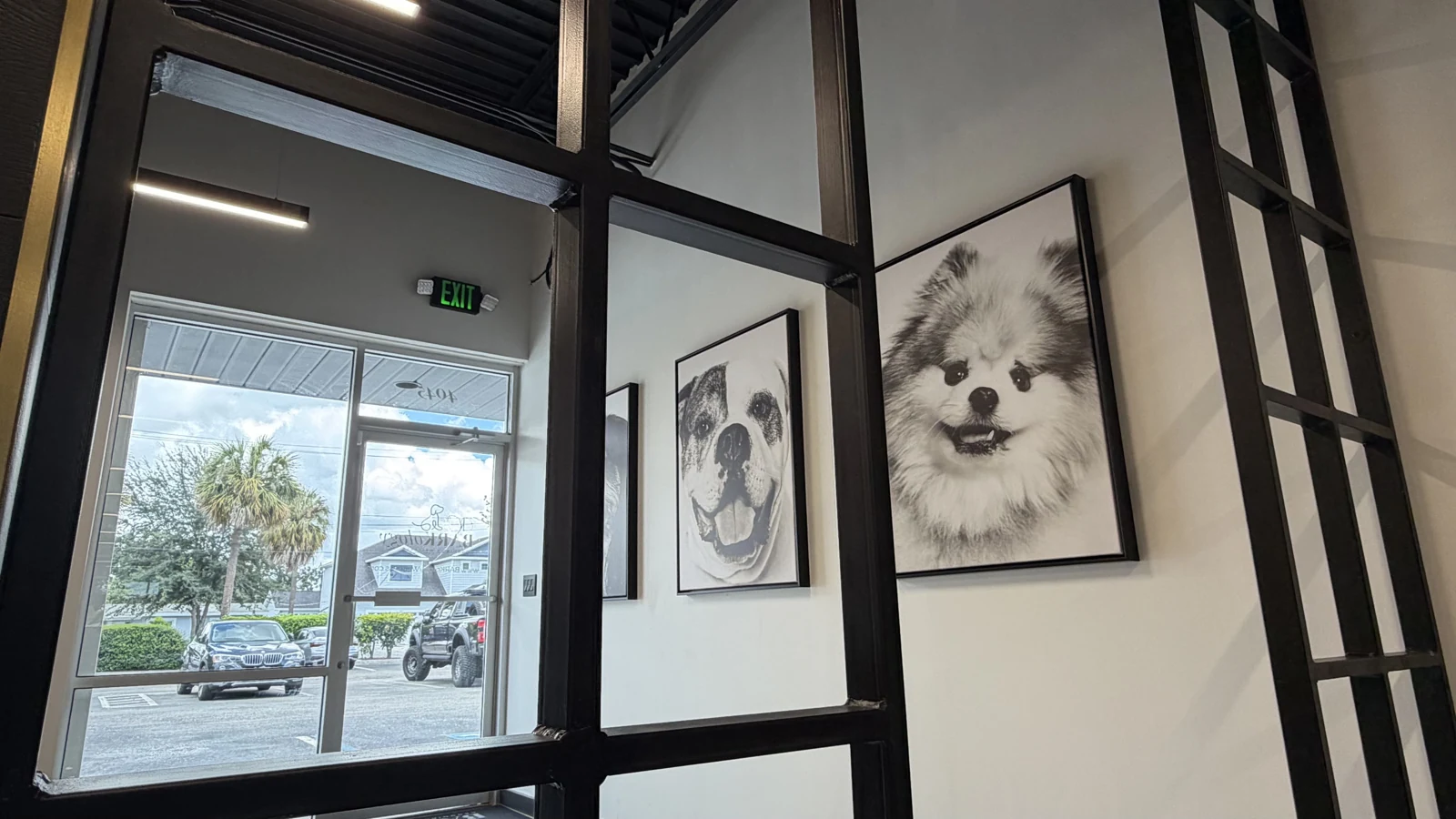 BARKology’s real entry and portrait hallway