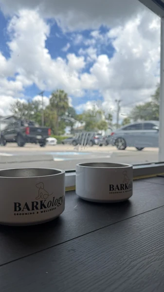 Water bowls beside the front window