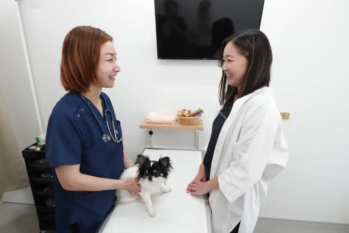 診察室で飼い主様に説明するスタッフ
