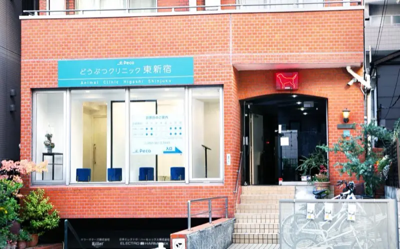 東新宿院