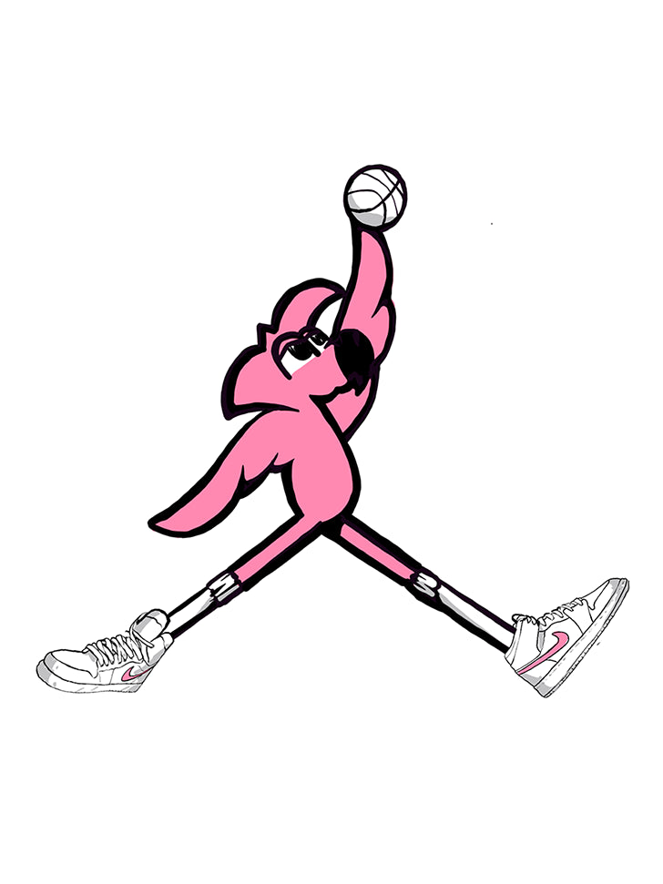 Swish With Roger, Jumpman