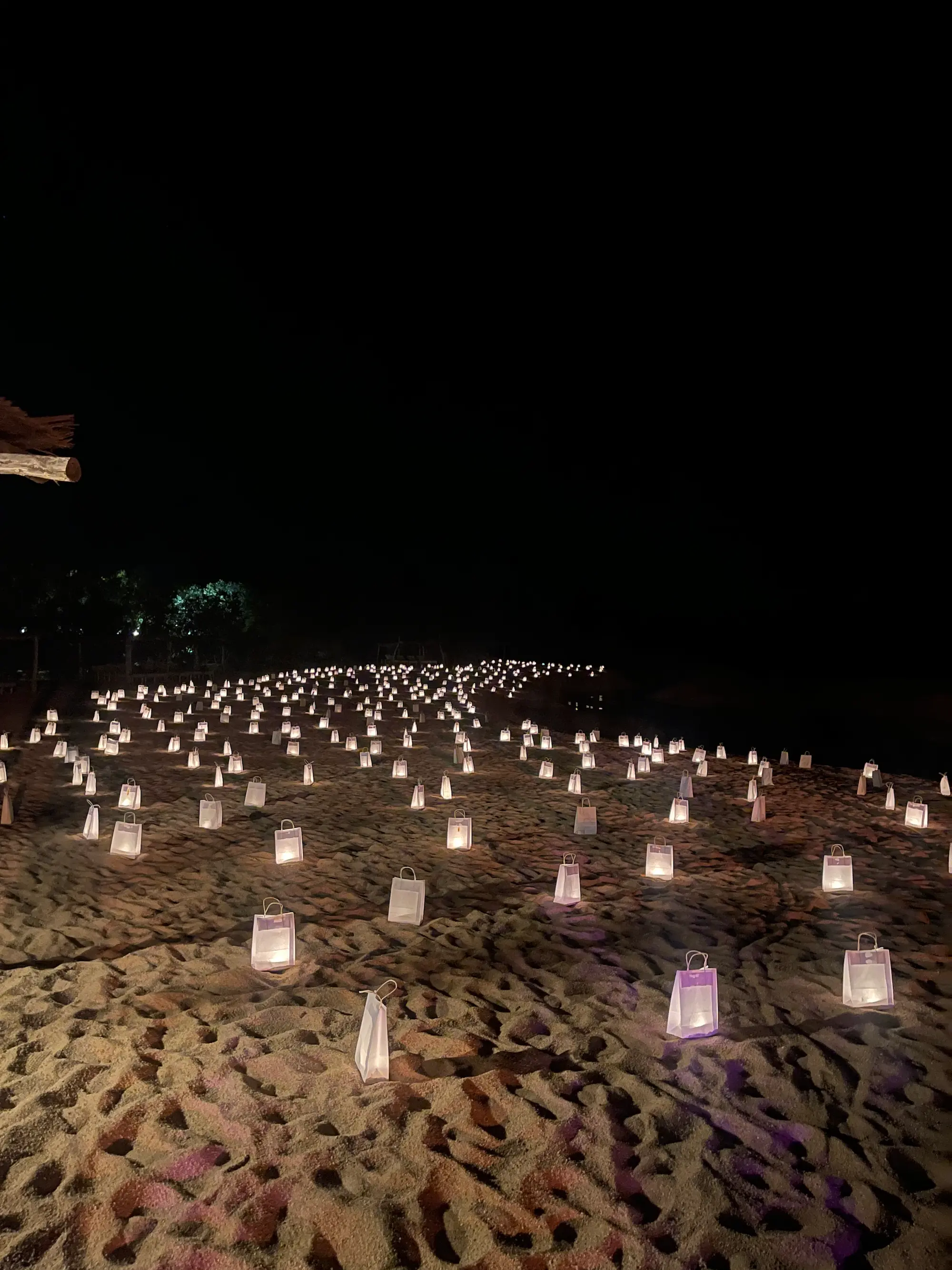 Exposition au Domaine de Murtoli, 2023 : lanternes en papier allumées sur le sable de la plage, de nuit