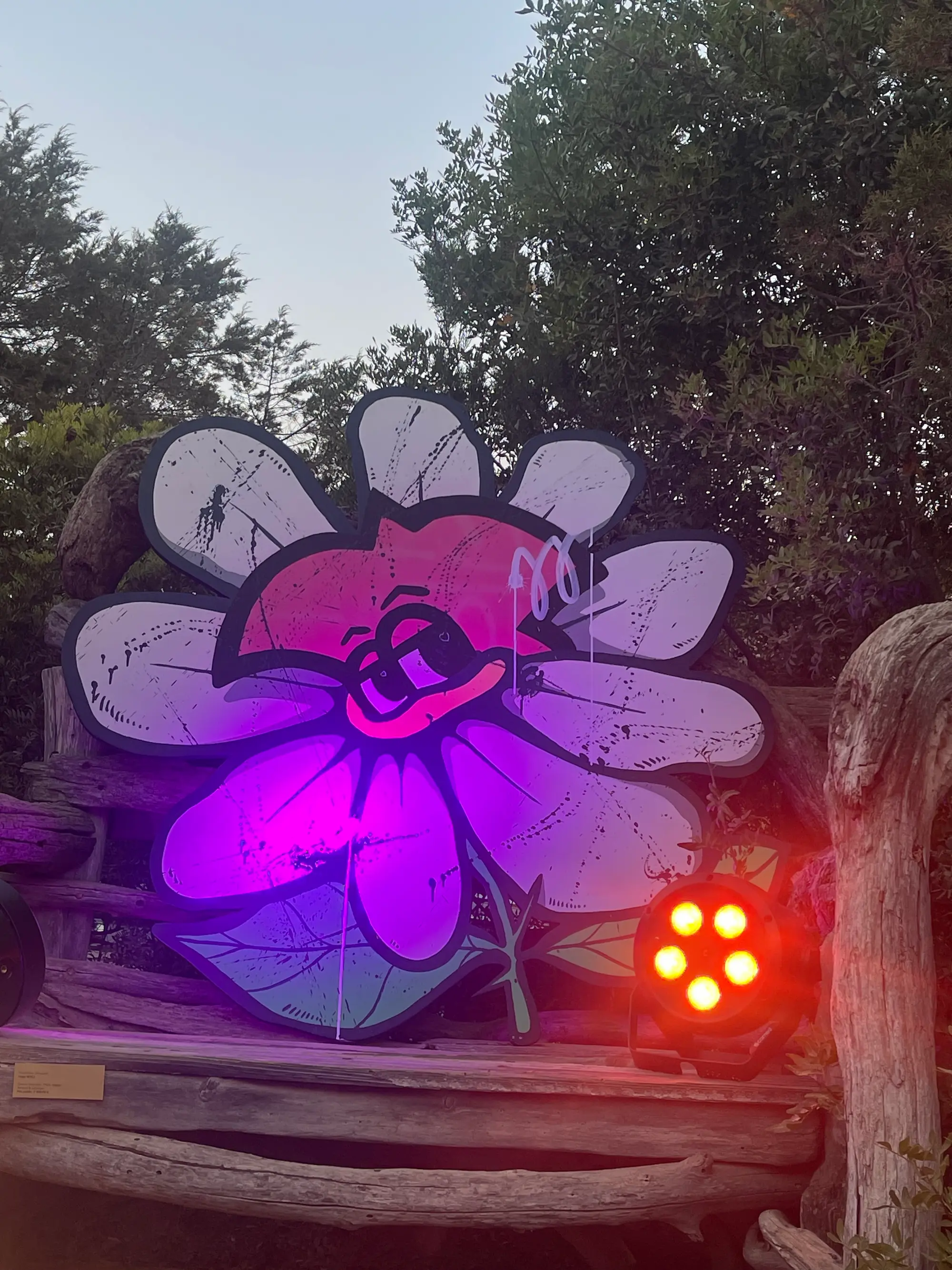 Exposition au Domaine de Murtoli, 2023 : grande découpe en forme de fleur avec le visage de Roger le Flamant Rose, éclairée en violet sur une banquette en bois